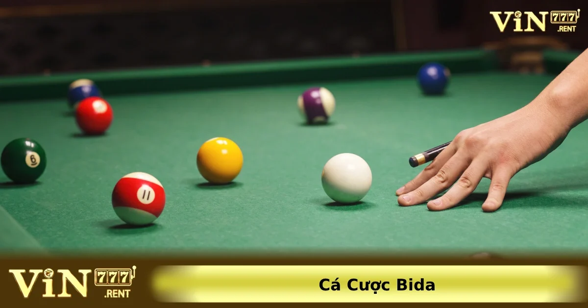 Cách chơi và luật cược bida online chi tiết nhất