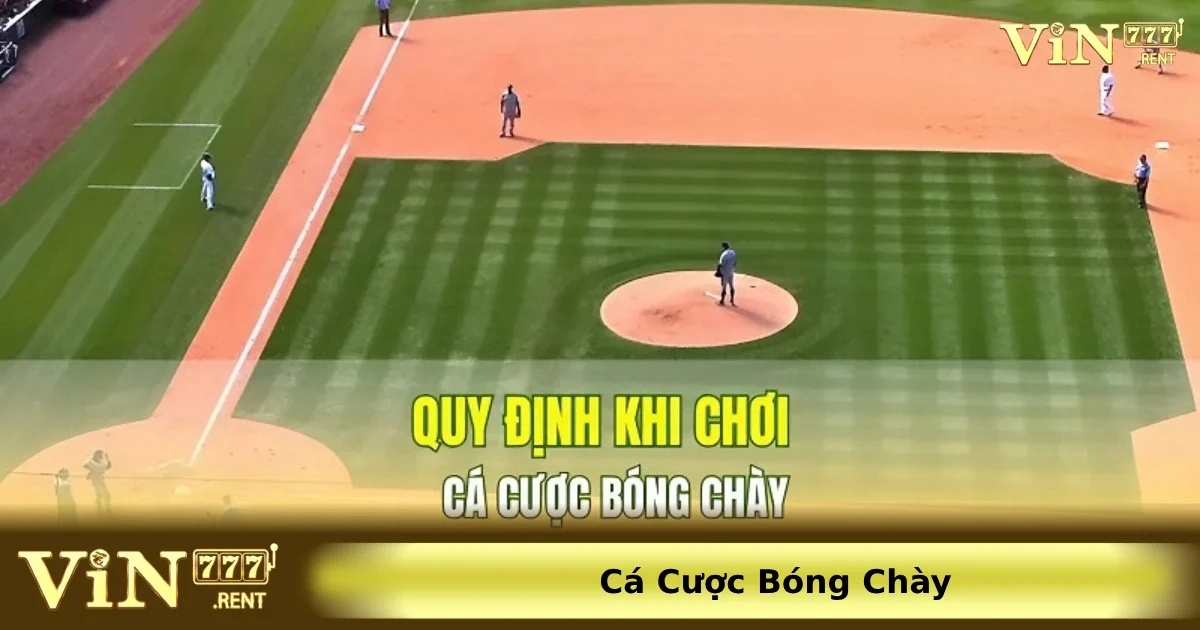 Tổng quan đôi nét về cá cược bóng chày online