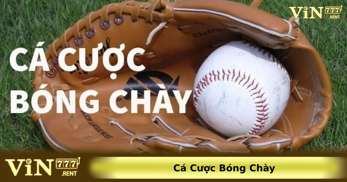 Các dạng cá cược phổ biến nhất trong bóng chày